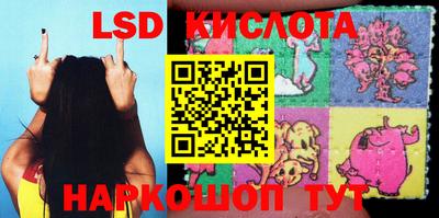 стафф Надым