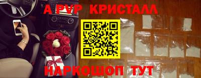 стафф Надым