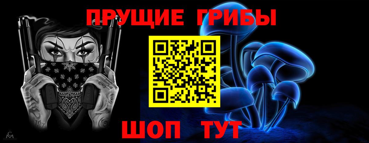 Кольчугино  Псилоцибиновые грибы Psilocybine cubensis  Галлюциногенные грибы Cubensis  Вход с VPN 