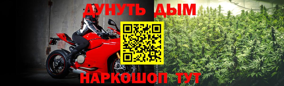 Канабис конопля Кольчугино